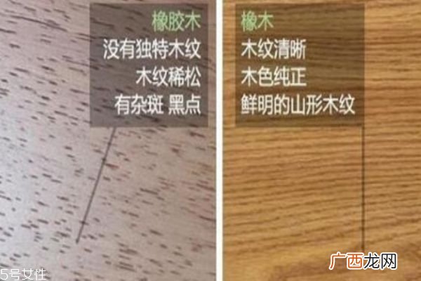 橡木和橡木胶的区别 小心别被骗了