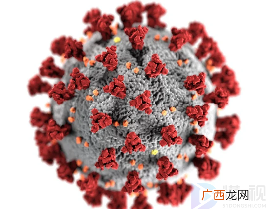 欧洲暴发史上最大规模禽流感 大量禽类被扑杀