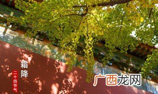 霜降后吃什么 霜降后吃哪些东西呢
