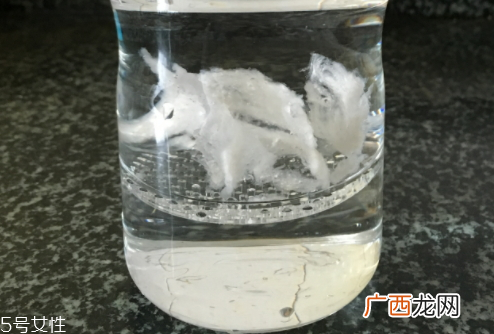 燕窝壶怎么使用方法 操作简单
