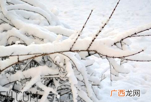 下雪能杀菌吗 下雪可以杀菌吗