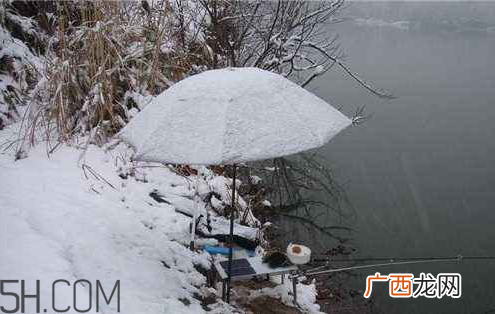 下雪天能钓鱼吗 下雪天好钓鱼吗