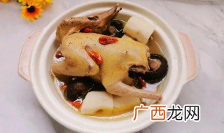 常吃鸽子有什么好处 常吃鸽子有哪些好处