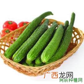 黄瓜的落蔓怎么办?种植有技巧