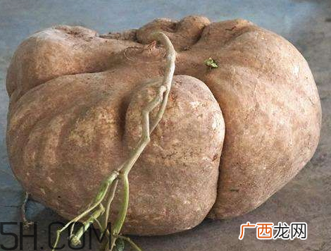 土瓜不能和什么一起吃 土瓜和什么相克