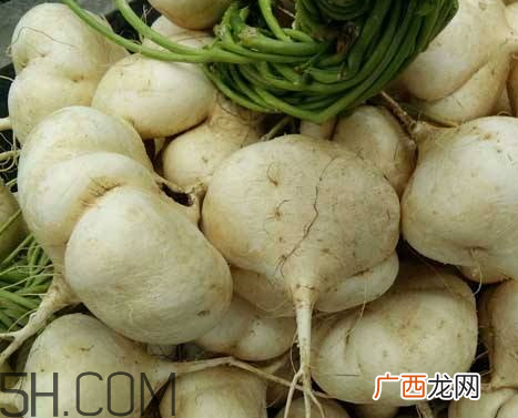 白地瓜什么时候收获 白地瓜什么季节成熟