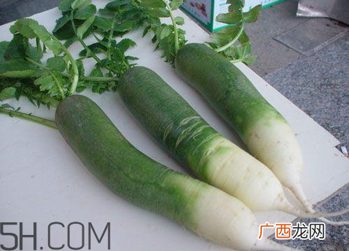 青萝卜什么时候收获 青萝卜什么时候上市