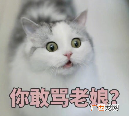 吸鸭表情包 吸鸭动图