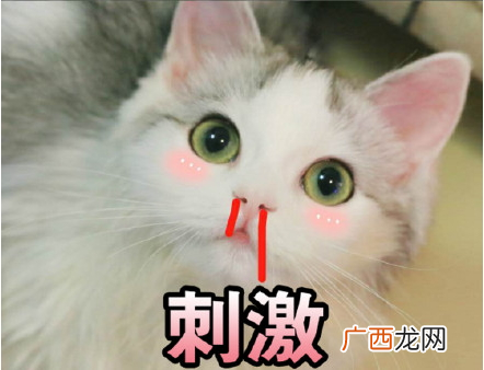 吸鸭表情包 吸鸭动图