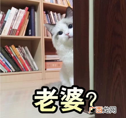 吸鸭表情包 吸鸭动图