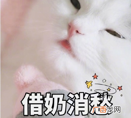 吸鸭表情包 吸鸭动图