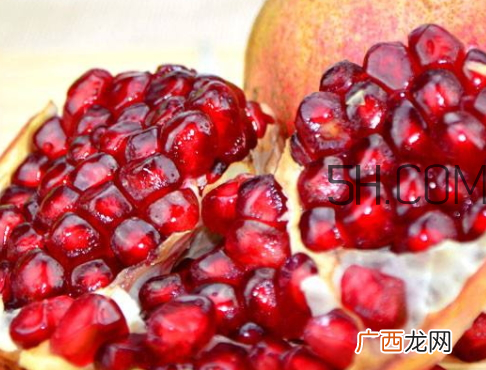 软籽石榴哪里的好 软籽石榴哪个品种好
