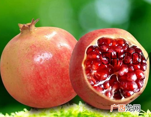 软籽石榴哪里的好 软籽石榴哪个品种好