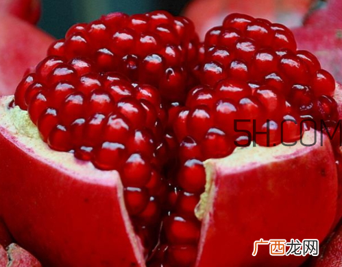 软籽石榴怎么吃 软籽石榴可以榨汁吗
