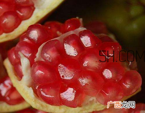 软籽石榴怎么吃 软籽石榴可以榨汁吗