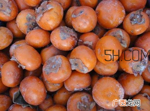 冻柿子怎么吃不涩 冻柿子可以去涩吗