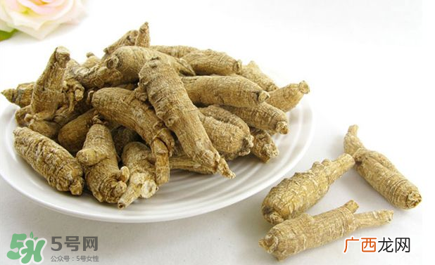 花旗参和西洋参的区别 花旗参好还是西洋参好？
