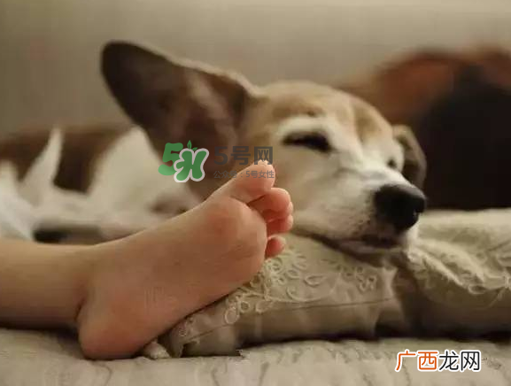 点20盘蚊香开空调睡中毒 开空调能点蚊香吗?