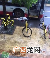 女子穿高跟鞋追公交 摔倒后遭碾压身亡