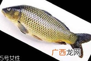 青鱼是淡水鱼还是海鱼 青鱼的介绍