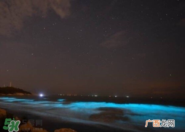 浙江多地惊现蓝眼泪现象 蓝眼泪是什么？