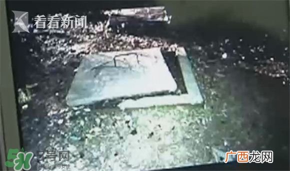树下烧蚂蚁引爆化粪池 沼气池化粪池为什么会爆炸