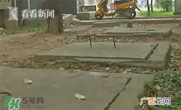 树下烧蚂蚁引爆化粪池 沼气池化粪池为什么会爆炸