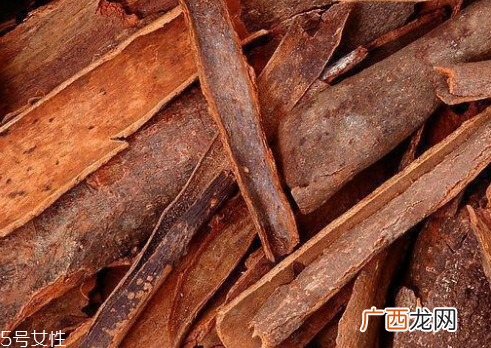 桂皮是什么树的皮 是几种树皮统称
