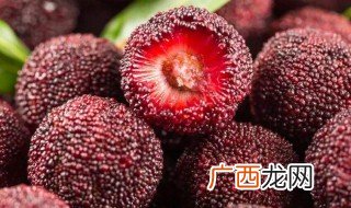 吃杨梅核能帮助消化吗 吃杨梅核可以帮助消化吗