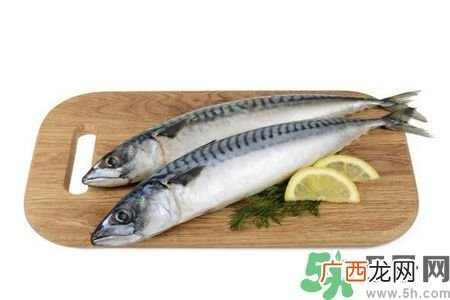 延缓失智好方法 每周吃2次左右海鲜