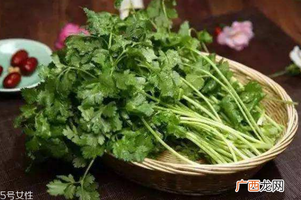 香菜的营养价值 吃香菜注意事项