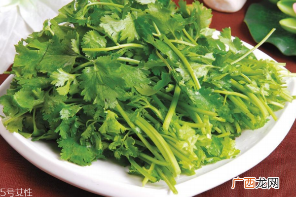 香菜的营养价值 吃香菜注意事项