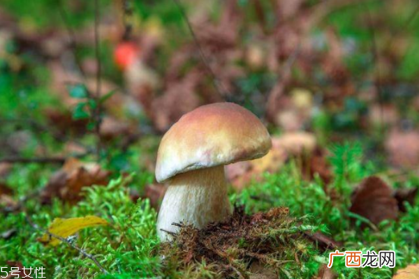 养肝食物推荐 常见肝病演变流程