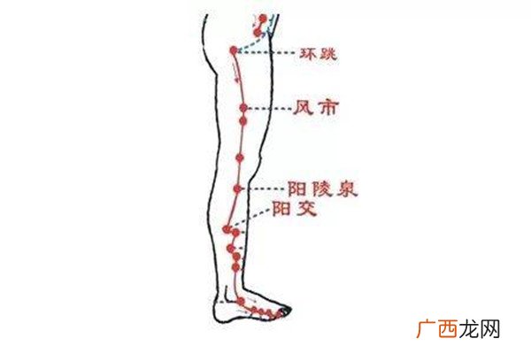 敲打胆经多久能瘦腿呢 水肿型腿能敲打胆经瘦腿吗