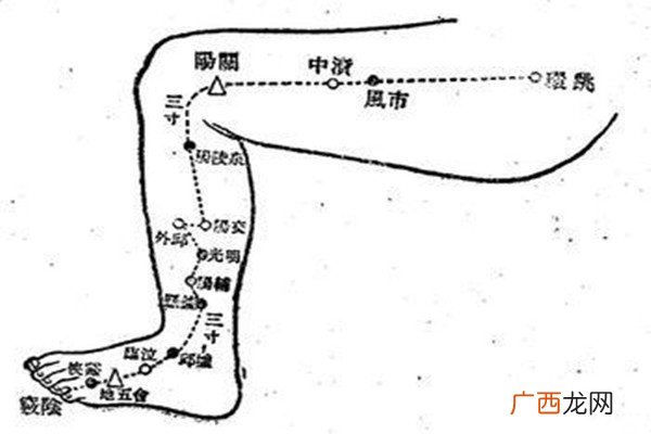 敲打胆经多久能瘦腿呢 水肿型腿能敲打胆经瘦腿吗