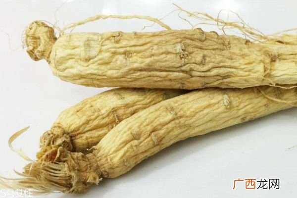 什么是白参呢 白参有什么作用呢
