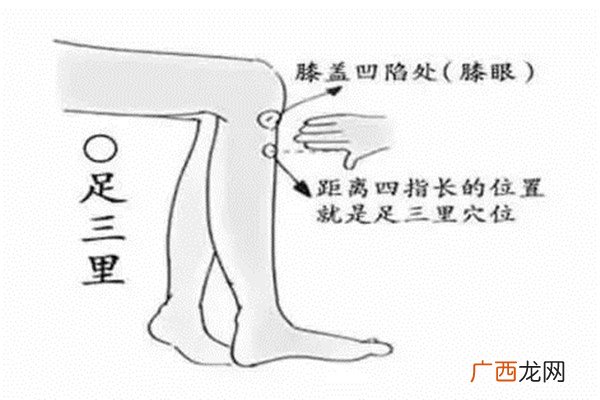 足三里是什么穴位 足三里怎么找