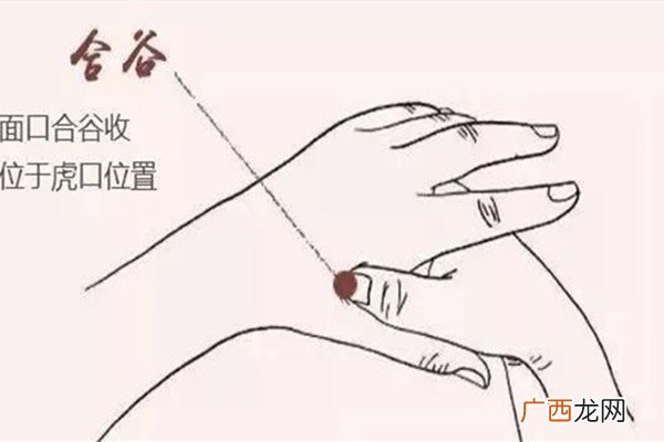 合谷穴在哪里 合谷穴怎么找