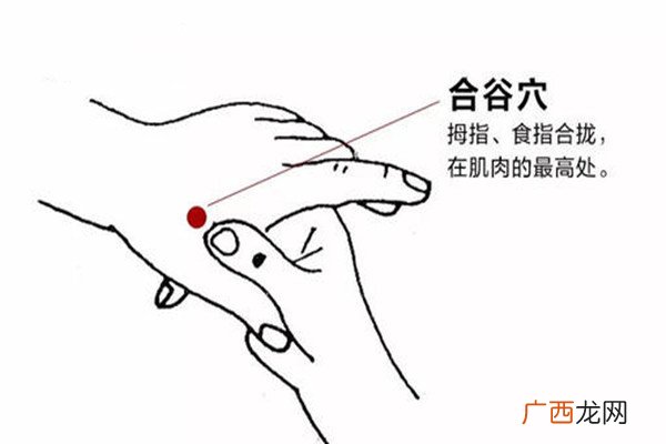 合谷穴在哪里 合谷穴怎么找