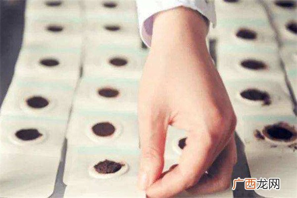 三伏贴能喝酒吗 三伏贴的注意事项