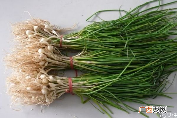 什么是薤白呢 薤白有什么作用呢