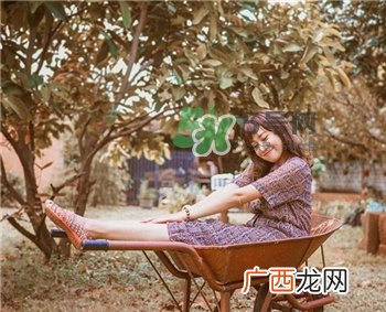 胆经的作用 胆经的功效