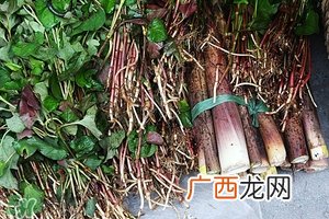 上火吃是什么降火快 春天吃什么降火最快