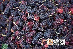 上火吃是什么降火快 春天吃什么降火最快