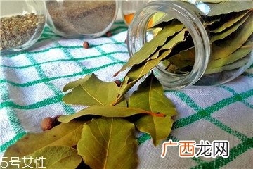 月桂叶怎么用 月桂叶怎么保存