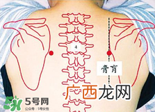 膏肓的准确位置图 膏肓穴痛跟什么有关