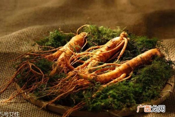人参的食用方法有什么呢 人参为什么会跑呢