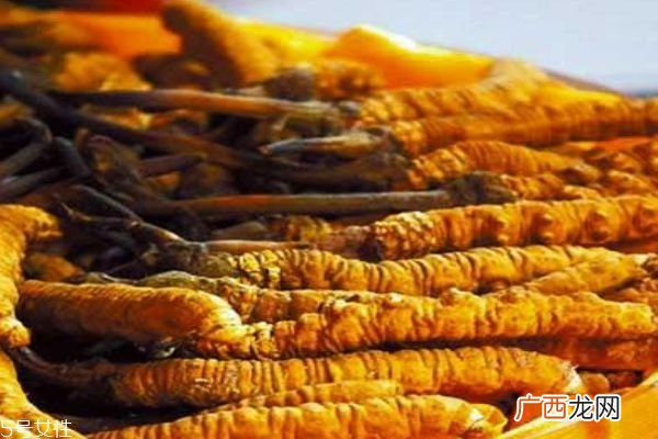 什么是冬虫夏草呢 冬虫夏草有什么作用呢