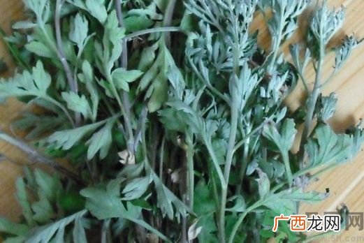 艾叶是艾草吗?艾叶是艾草的叶子吗?