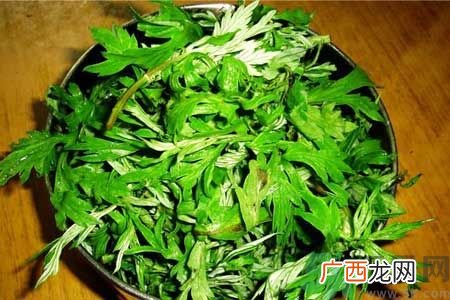 艾叶是凉性还是热性?艾叶是凉性的吗?